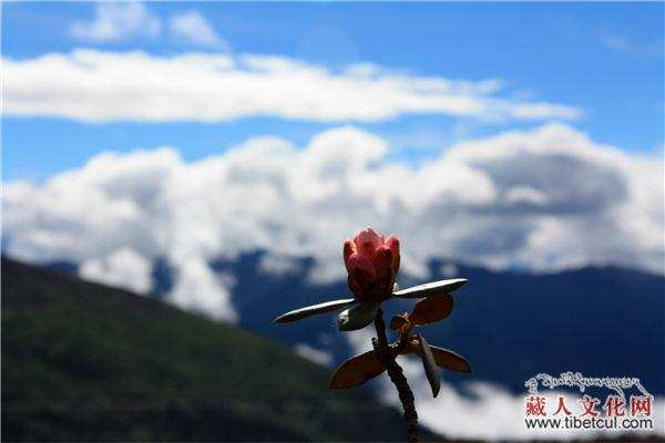 表达虔诚与信仰的转经