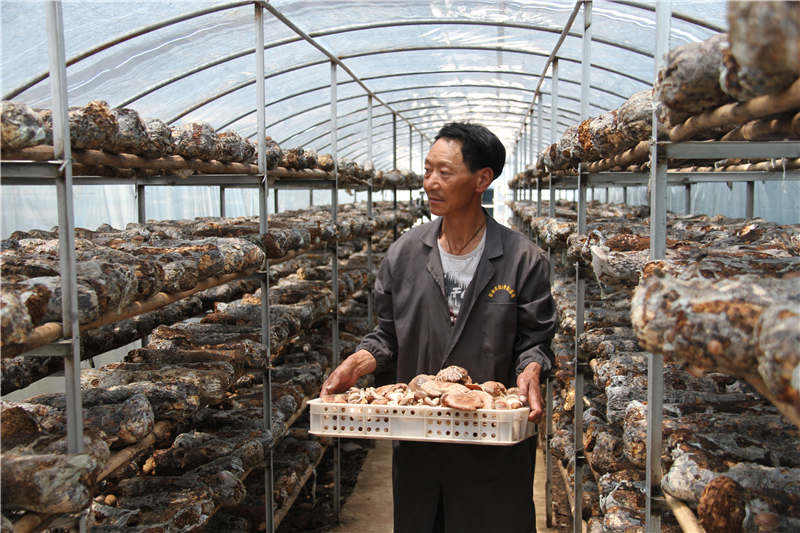 理塘县：采摘“新生活”