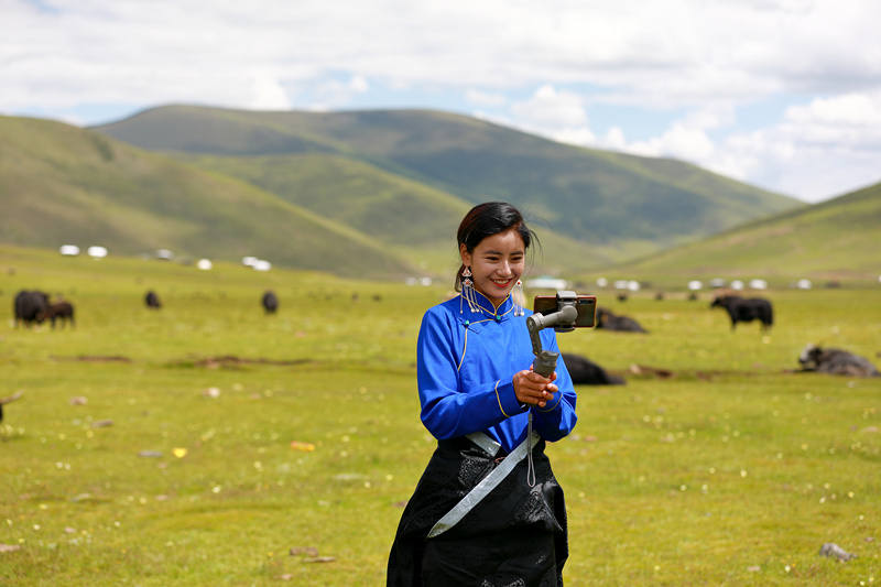 四川理塘：牧场直播销牦牛