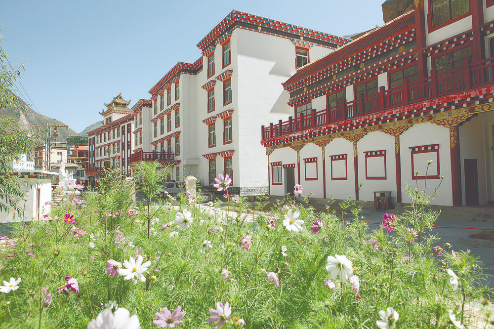 深挖藏医药瑰宝 打造经济发展新引擎