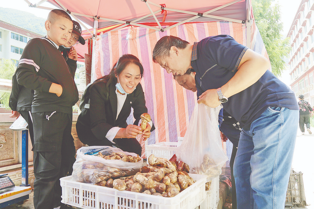 茸香氤氲 情歌城