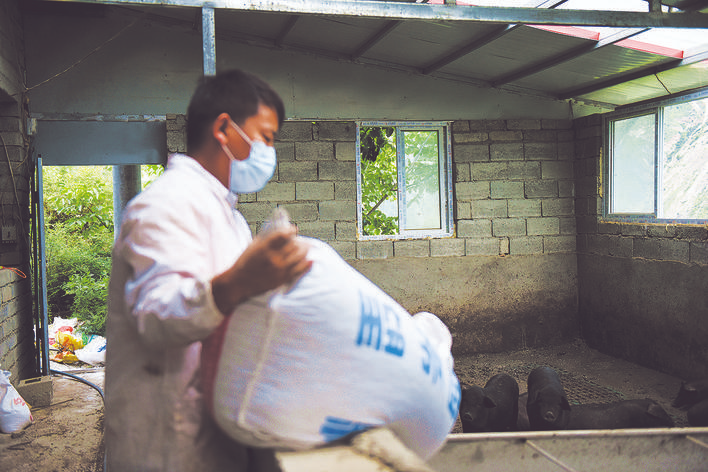 小金县多措并举促进生猪稳产保供