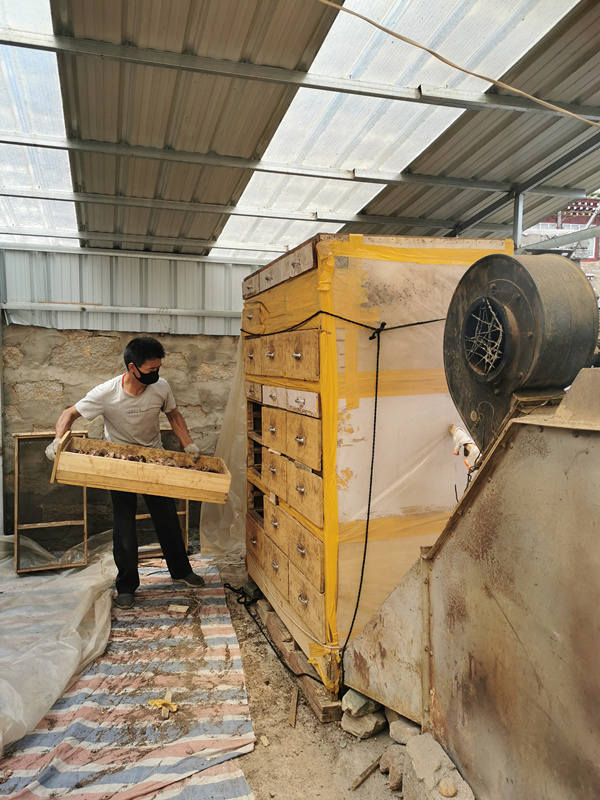 理塘县亚火乡：有了加工合作社 野生菌不愁卖