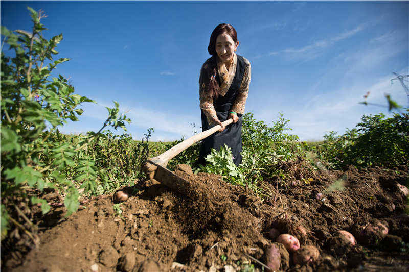 甘孜县“六个强化”精准发力乡村振兴
