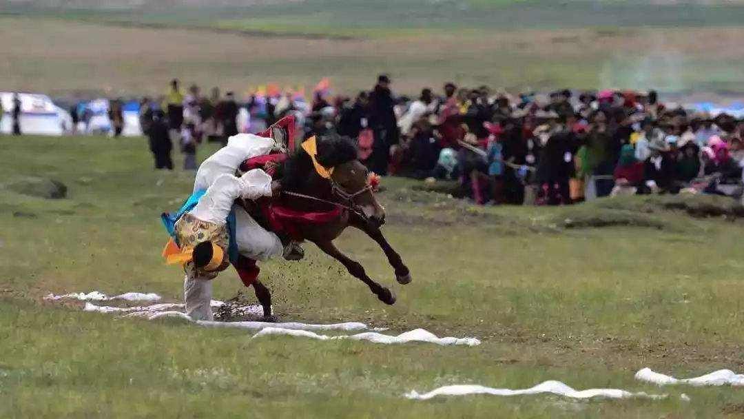 藏族体育娱乐项目——赛马