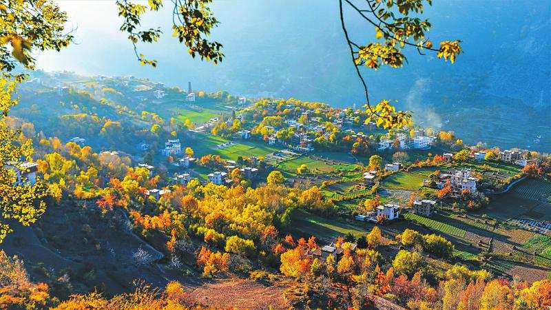 丹巴 走出产业富民新路径