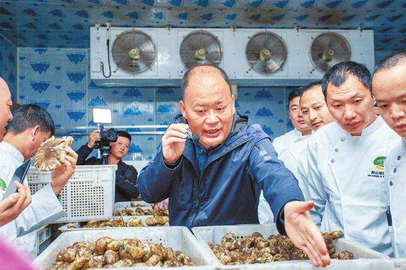 让“雅江松茸”带来更多真金白银