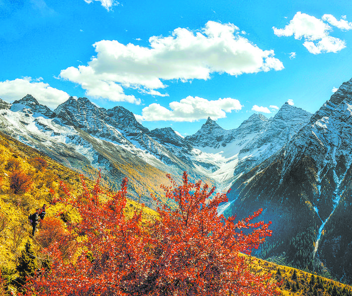 小金山林色彩斑斓