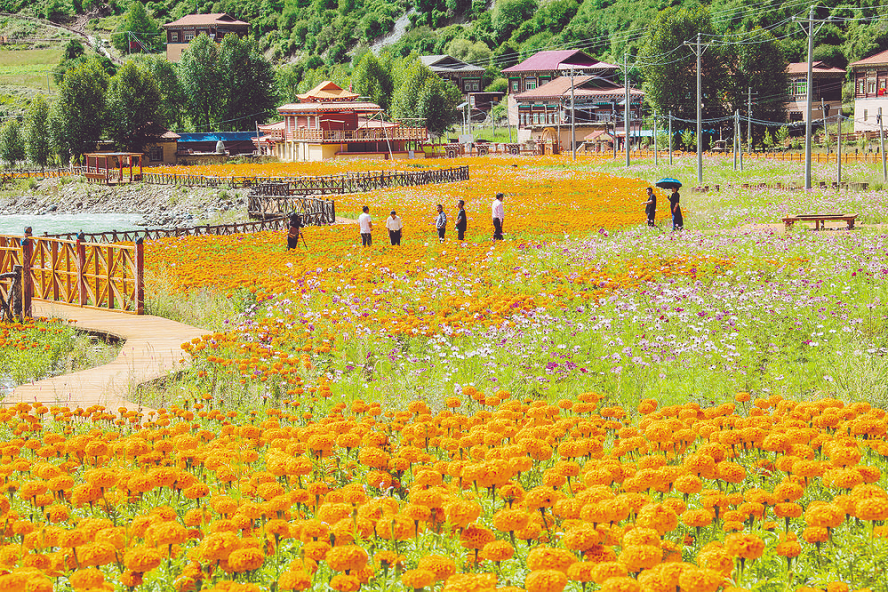 决战脱贫攻坚 决胜全面小康