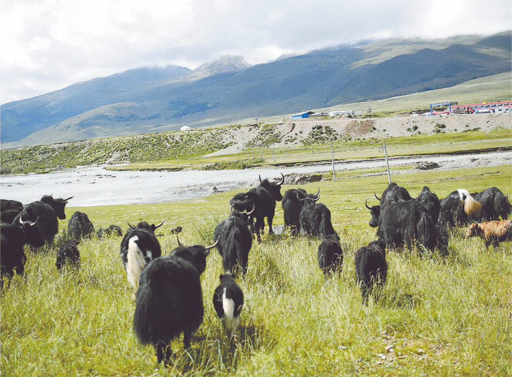 APP监测种植极地果蔬不愁销