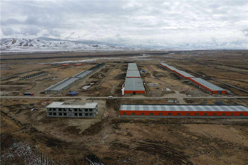 理塘：建牦牛园区 助牧区振兴