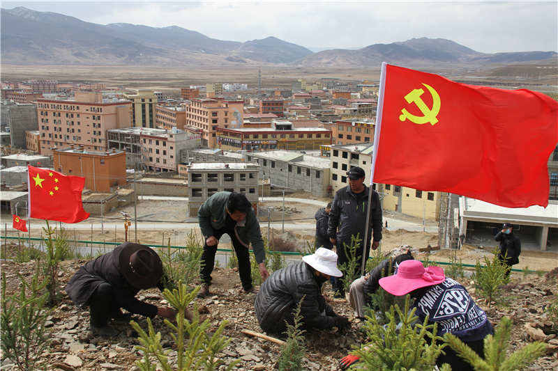 理塘县：植树添绿党旗飘