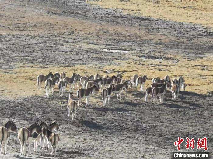 黄河源头绘就“人与自然和谐共生的美好画卷”