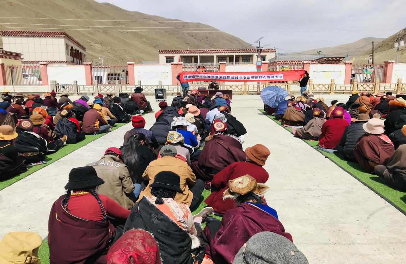 德格县阿须镇：临时党支部-筑牢虫草采挖期安全防线