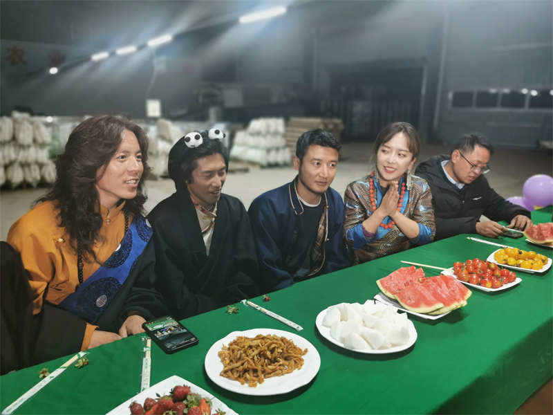 四川理塘：直播萝卜丰收 热售两万斤