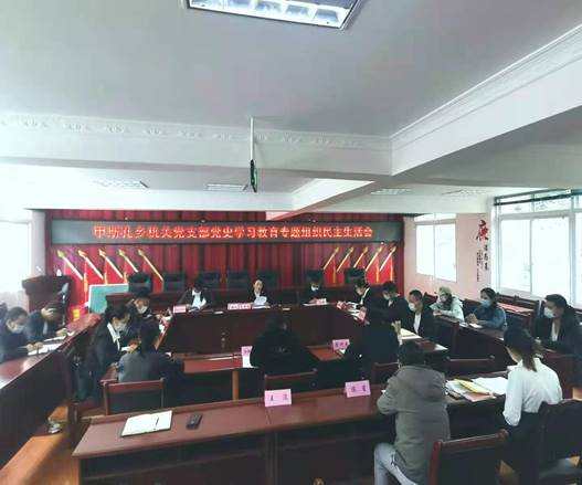 道孚县甲斯孔乡机关党支部召开党史学习教育专题组织生活会