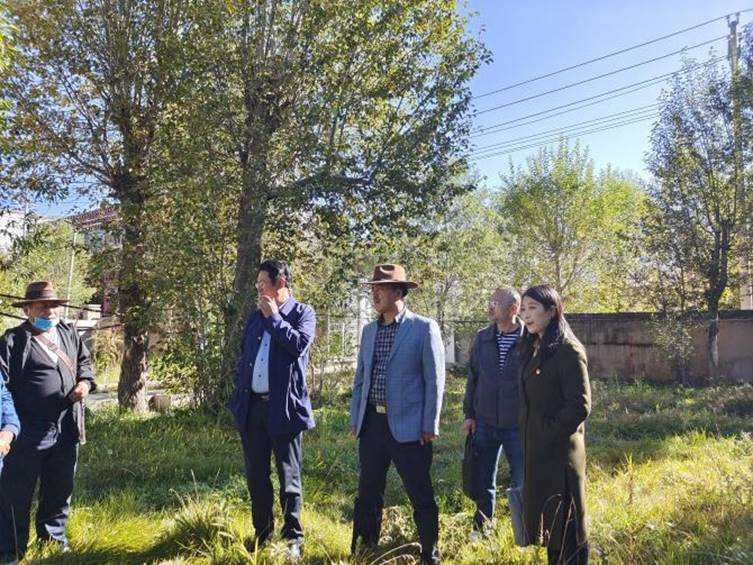 实地调研办实事  现场办公暖人心