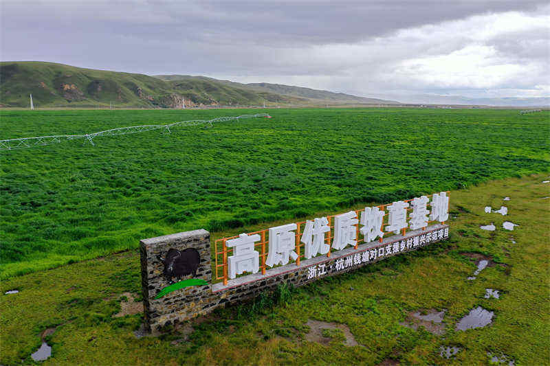 浙江钱塘给四川理塘“送”草  让900万元“长”出2800万元
