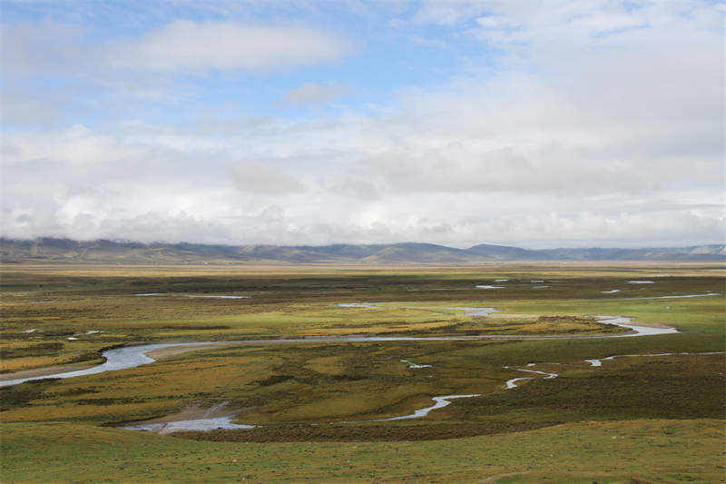 理塘县“三措施”推进无量河湿地公园建设