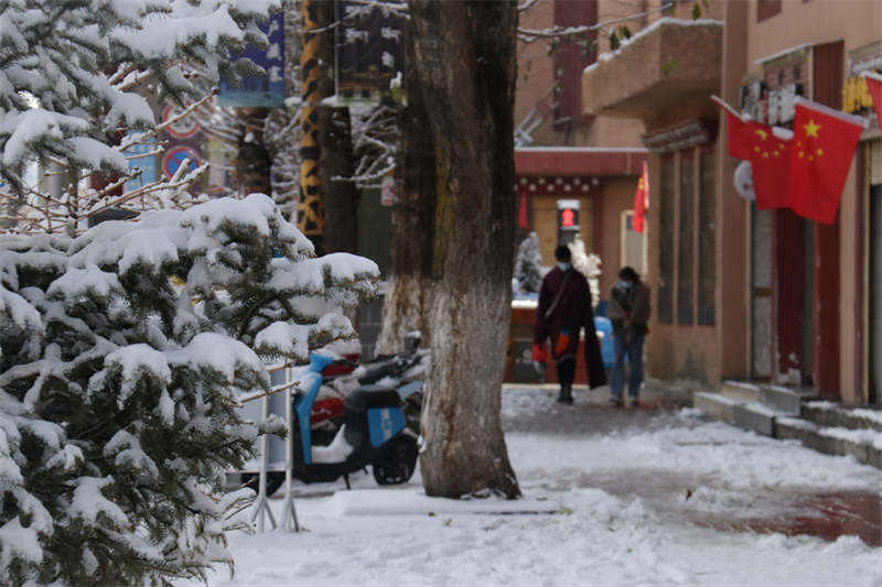 理塘：小雪时节大雪至