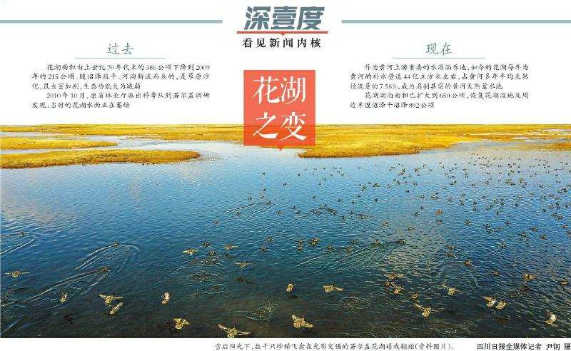 水位升高30厘米，面积扩大两倍多—— 若尔盖花湖是如何“长高”“变胖”的？