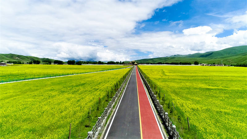 道孚县：让绿水青山成为生态发展的靓丽底色