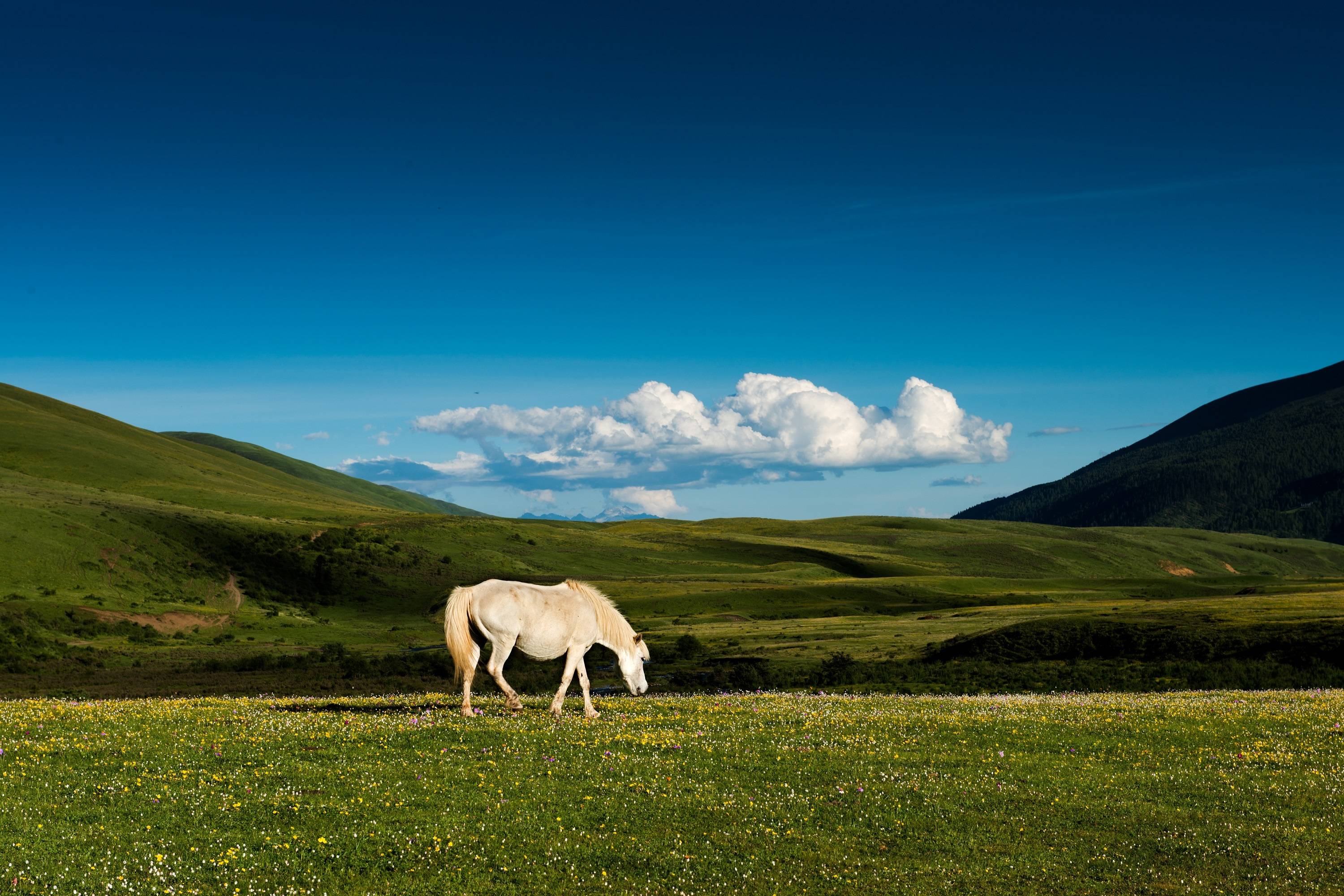 道孚：加快清洁能源建设 永葆碧水蓝天