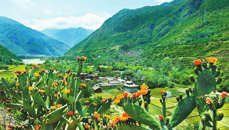 推进川西北生态示范区建设 甘孜探索多样化“生态＋”模式