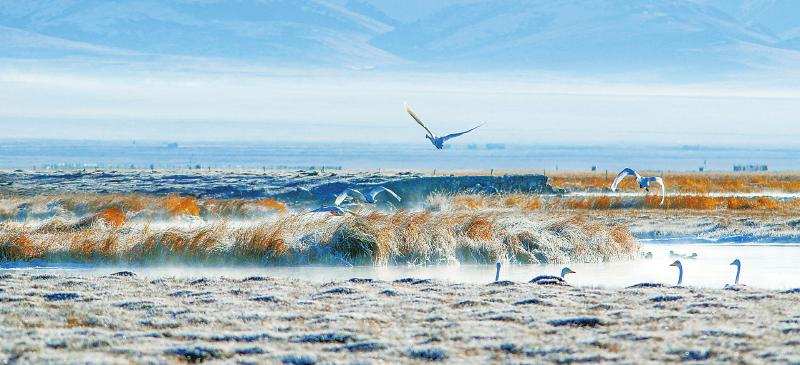 强化上游责任 确保黄河清水向东流