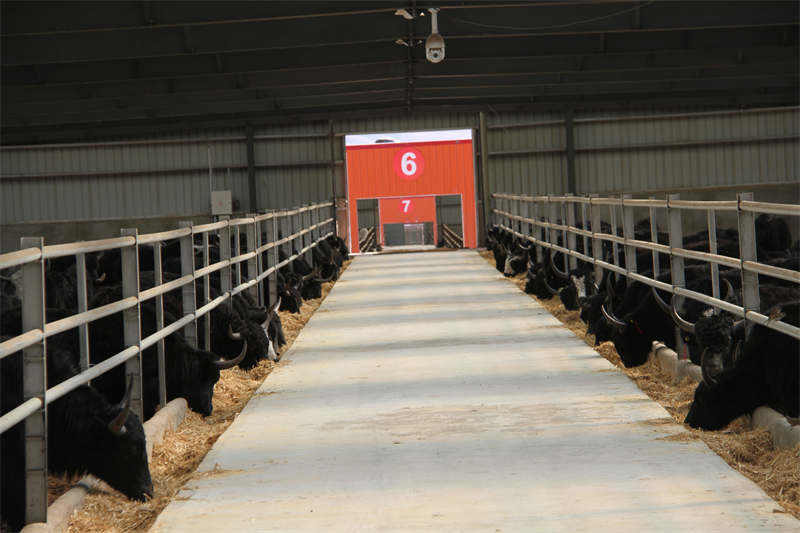 理塘县经济社会发展呈现良好局面