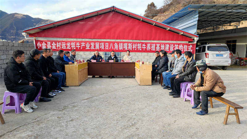 小金县：开好头 起好步 多措并举铺好致富“牛”路