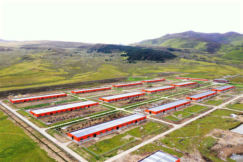 理塘县打响产业升级攻坚战