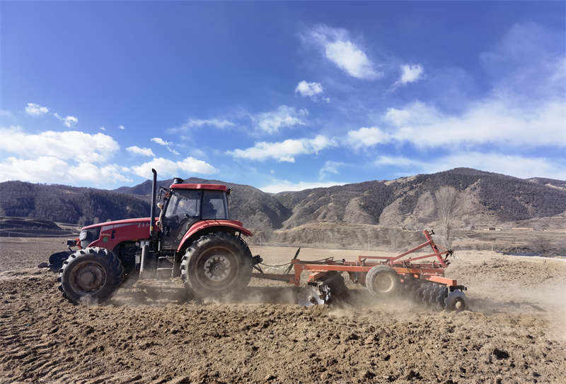 理塘县乃沙产业园区：蔬菜保供基地春耕忙