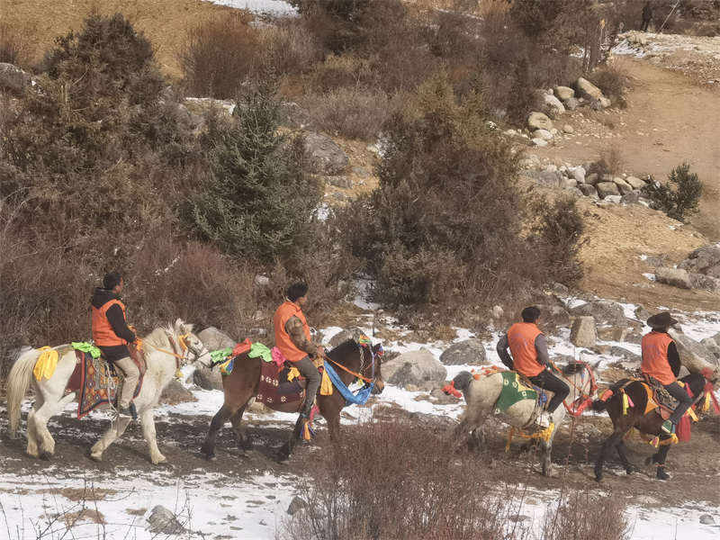 理塘县莫坝乡：12支马背巡护队守护森林草原