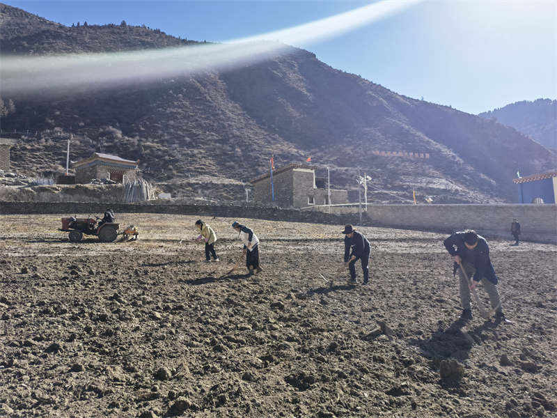 理塘县莫坝乡：干群携手忙春耕