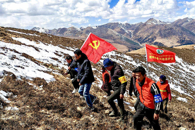 四川理塘：网格巡护防山火