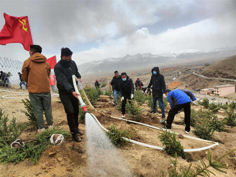 理塘县：义务植树添新绿