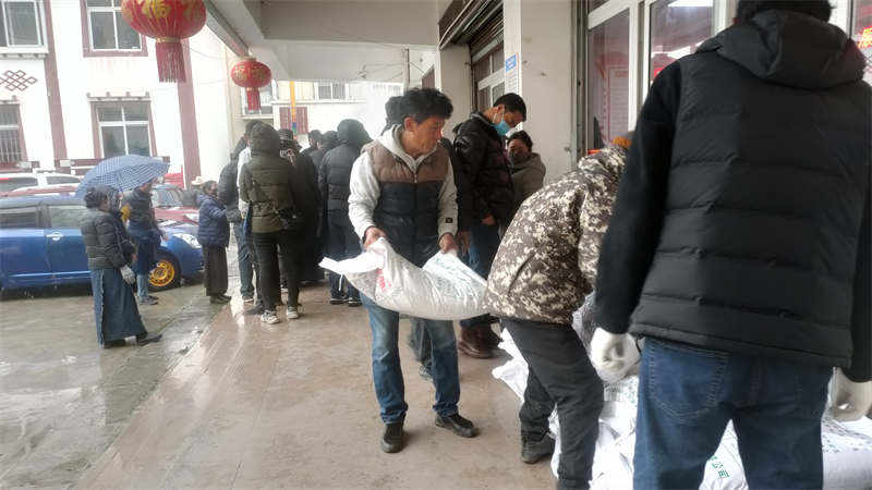 促增收、助春耕、暖民心 ——甘孜县开展青稞、马铃薯、蔬菜良种发放仪式