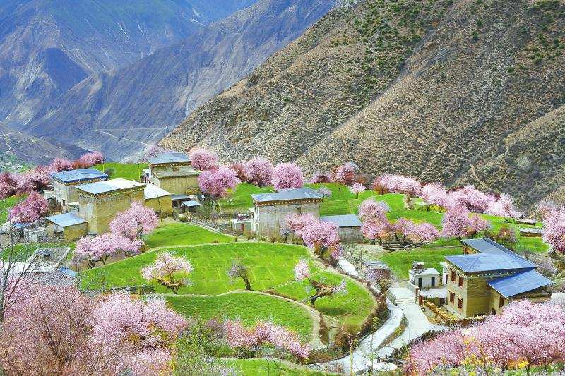 “十里桃林”春盛