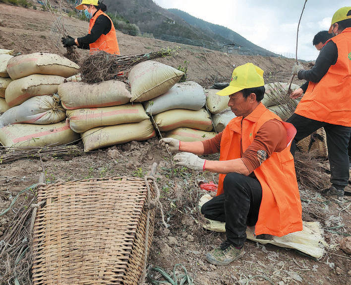 搭连心之桥 铺发展之路——浙江平阳对口支援马尔康拓宽群众致富渠道小记