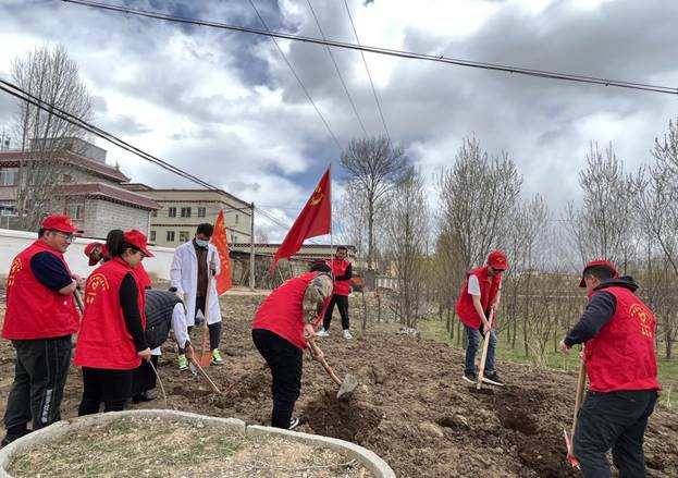 党建引领促发展  战疫春耕两不误 