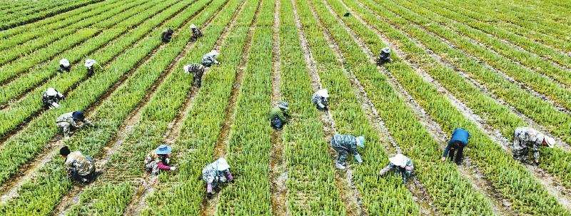  行走新巴蜀·甘孜：生态保护第一 绿色底色更鲜明