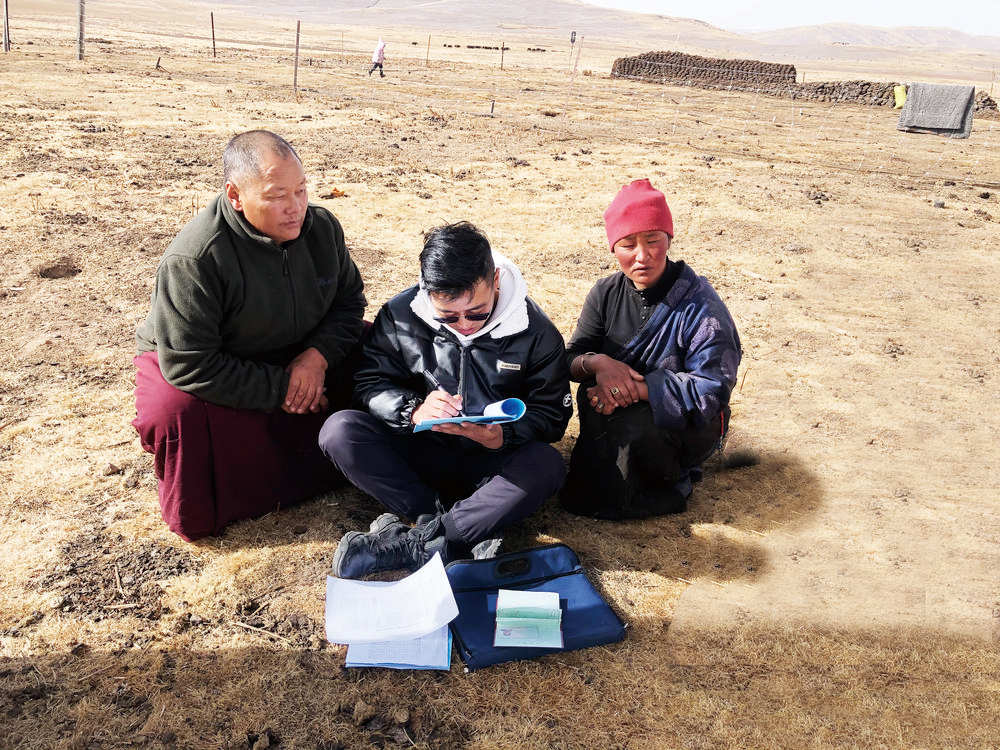 东然村有个“牦牛倌”