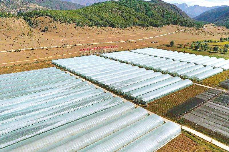 不负韶华 勇担使命 青羊对口帮扶助推得荣乡村全面振兴