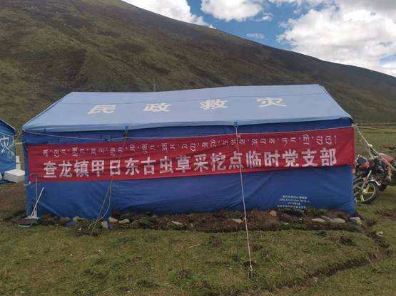 虫草山上党旗飘 加固党群连心桥