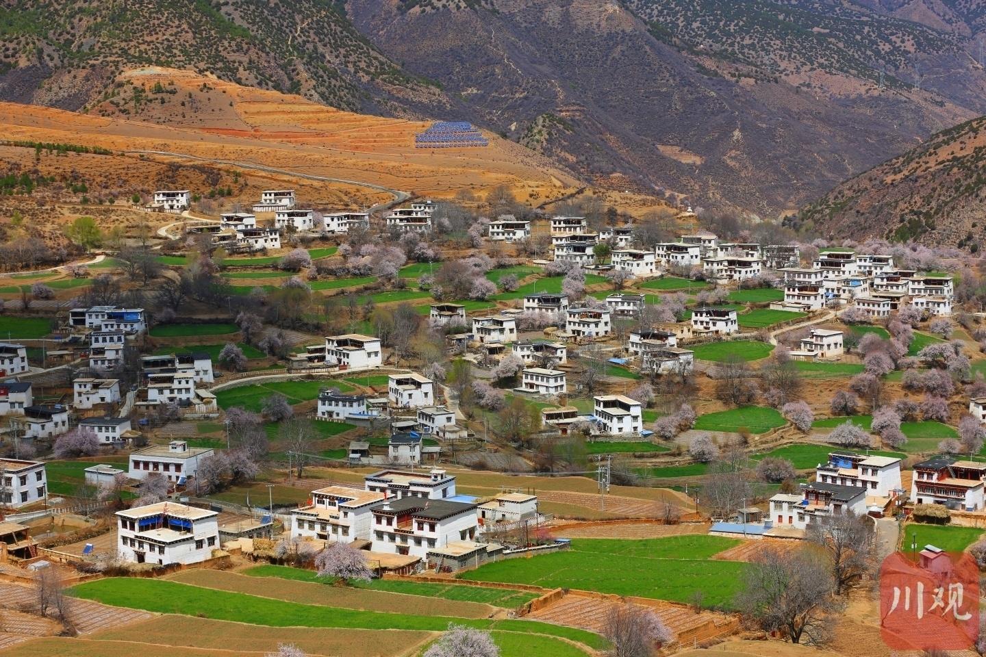 兴川答卷｜巴塘：乡村振兴迈出新步伐