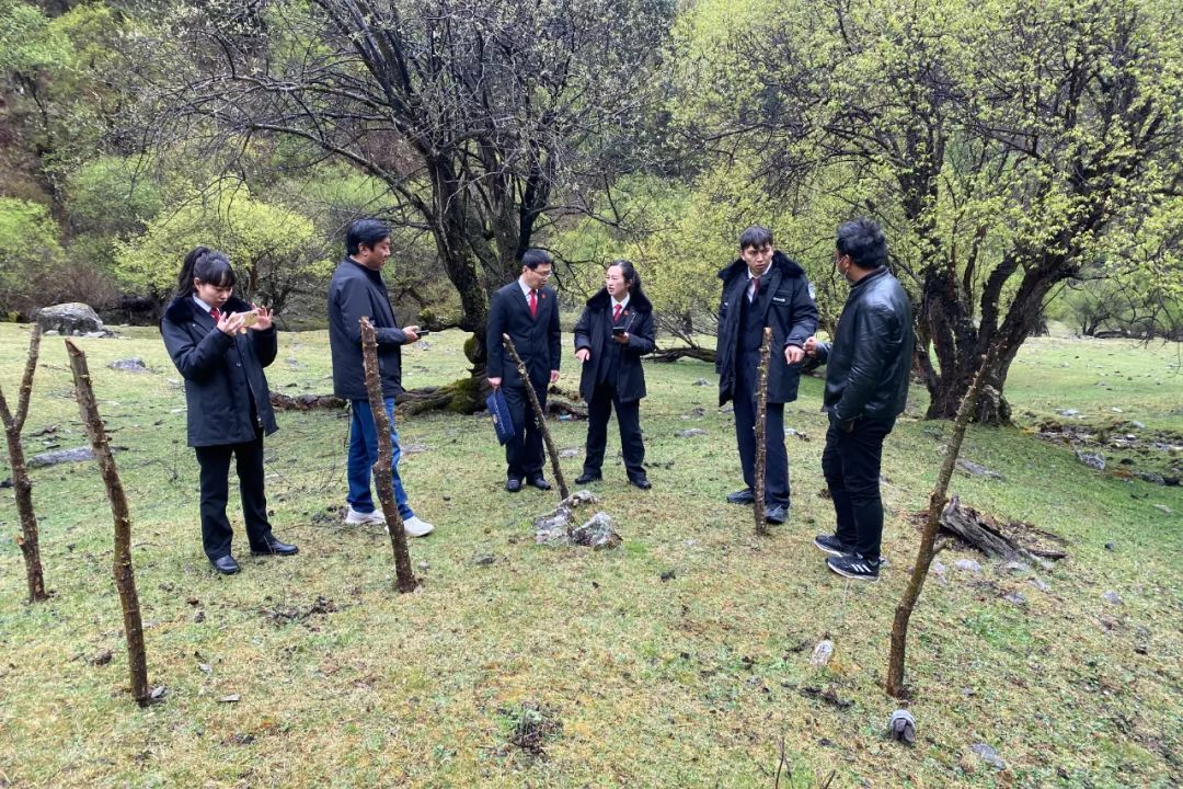 积极履职尽责 助推乡村振兴——“双助”活动德格县政协委员在行动