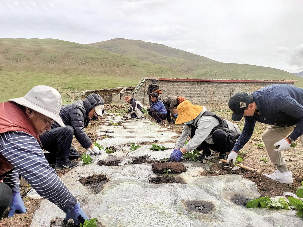 “万”字头基地 实现生态和经济效益双丰收