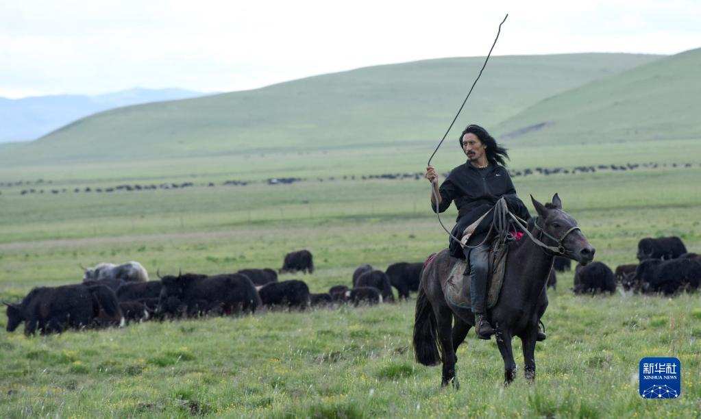 川西高原上的现代牧民