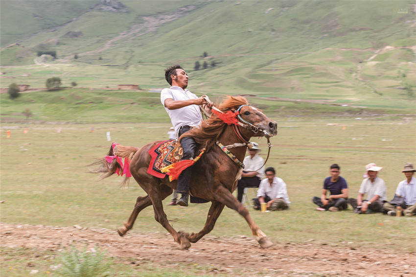 畜势腾飞奏牧歌——甘孜县现代畜牧业发展纪实